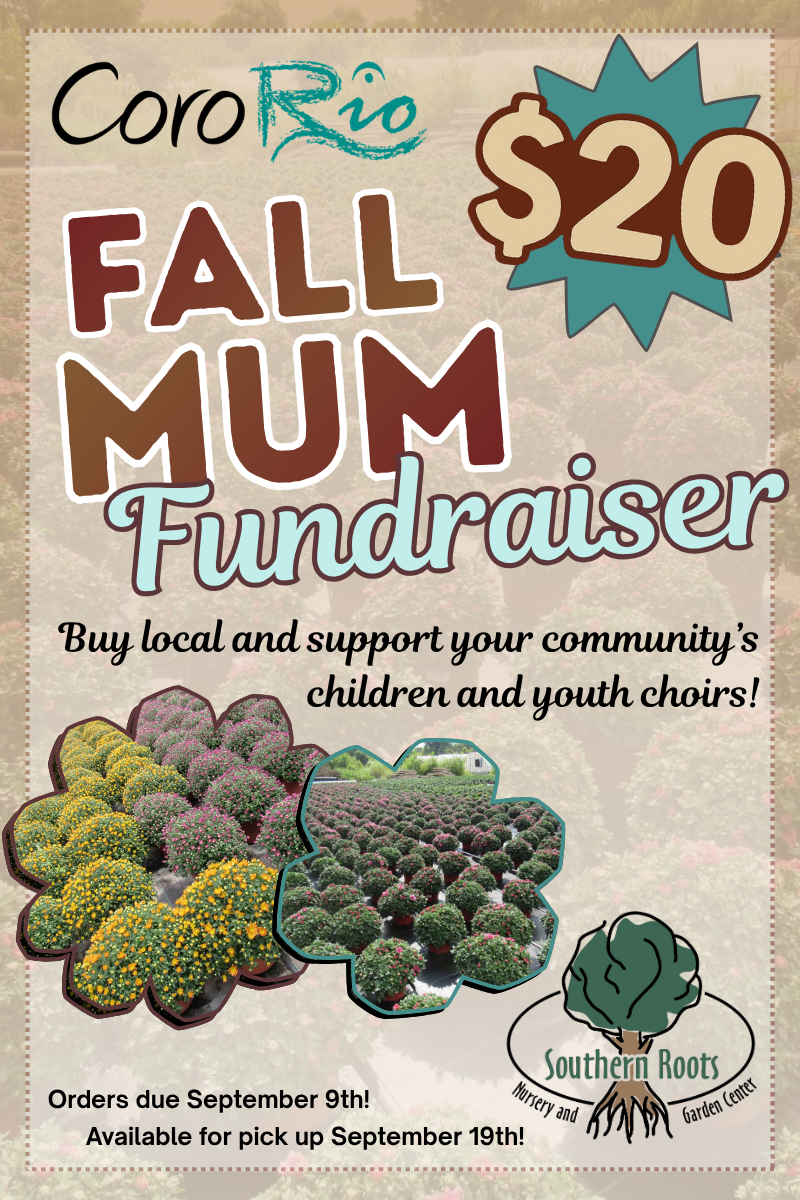 Fall Mum Fundraiser (800 x 1200 px)